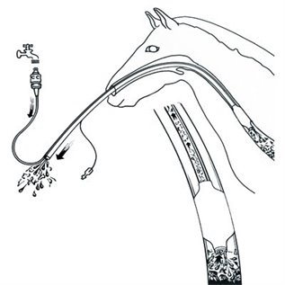 SONDA EQUIVET PER IRRIGAZIONE ESOFAGEA
