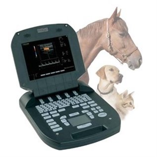 IMAGYNE: SONDA MICRO CONVEX 6,5 MHZ C614