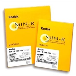 PELLICOLA KODAK MAMM 18 x 24 - 100 PZ
