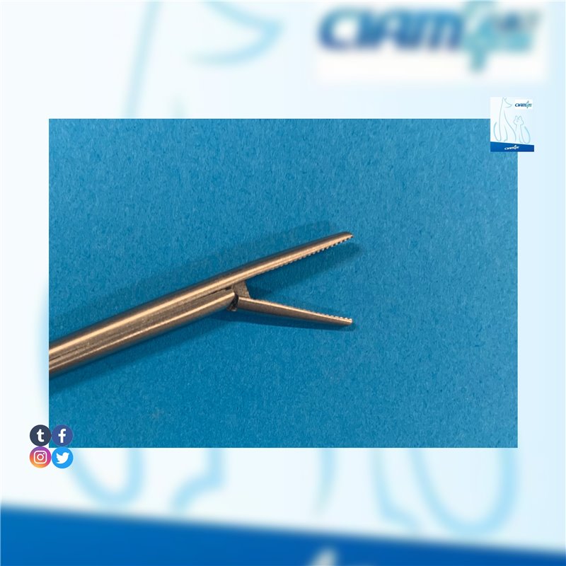 PINZA HARTMANN AURICOLARE ARTICOLATA 8 CM - FOSCHI