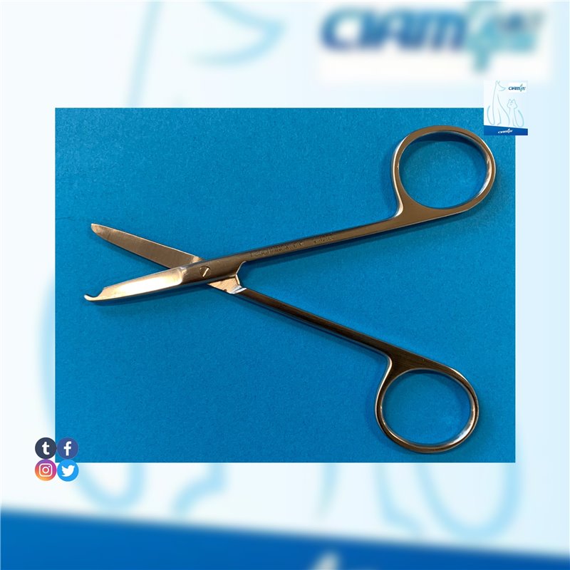 FORBICE BUCK RETTA 10 CM - FOSCHI