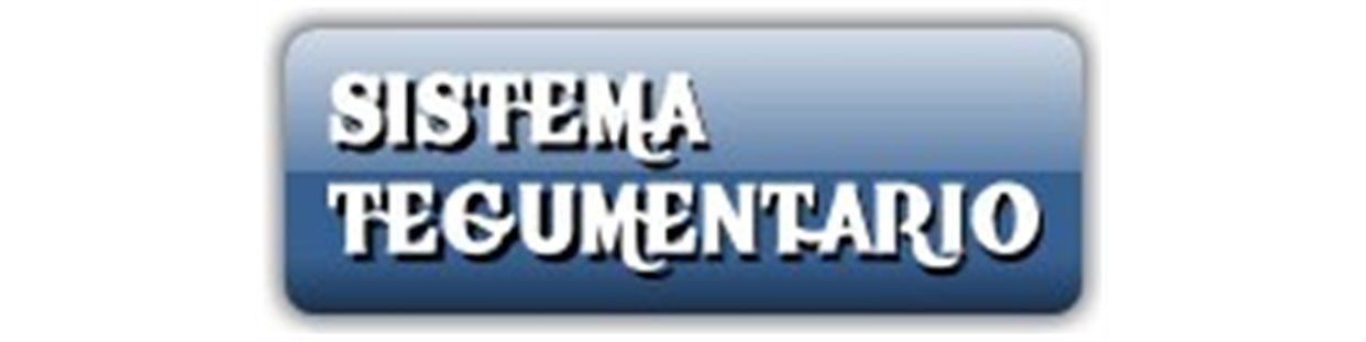 Sistema tegumentario