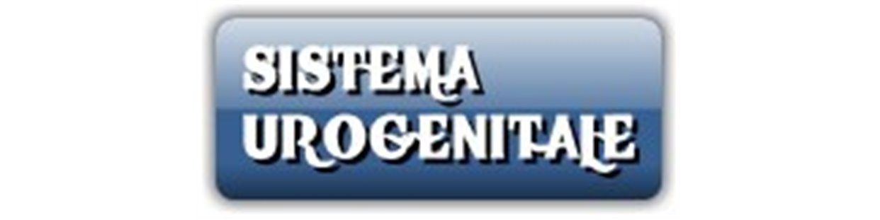 Sistema Urogenitale