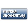 Sistema Urogenitale