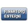 Fissatori esterni