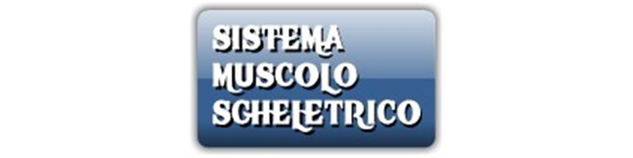Sistema muscolo scheletrico