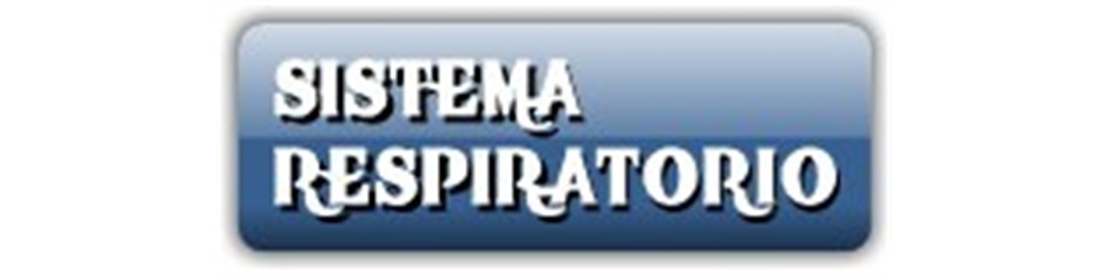 Sistema respiratorio