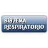 Sistema respiratorio