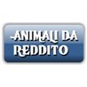 Animali da reddito